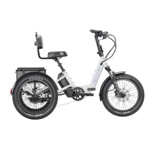 velotric-trike
