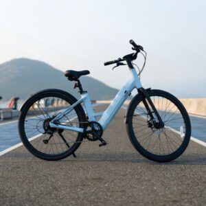 Carbon 1 Step-Thru E-Bike