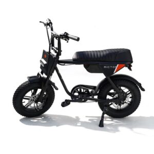 Rictor Moto Style E Bike